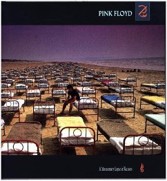 A Momentary Lapse Of Reason(2011 Remastered Versio - Pink Floyd
