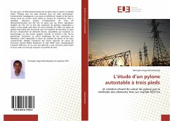 Cover L'étude d'un pylone autostable à trois pieds