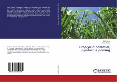 Crop yield potential, pyridoxine priming