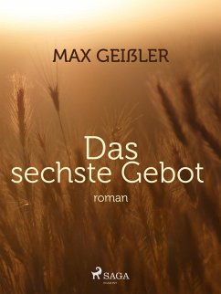 Das sechste Gebot (eBook, ePUB) - Geißler, Max