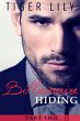 Billionaire Hiding #2 (eBook, ePUB) - Bild 1