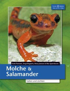 Molche und Salamander - Pasmans, Frank;Bogaerts, Sergé;Janssen, Henry