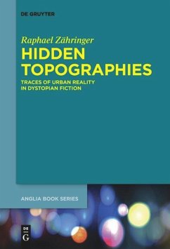 Hidden Topographies - Zähringer, Raphael