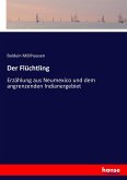 Der Flüchtling Der Flüchtling