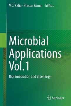 Microbial Applications Vol.1