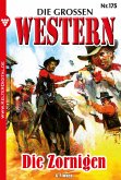 Die großen Western 175 (eBook, ePUB)