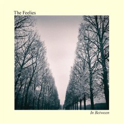 In Between - Feelies,The