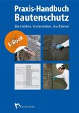 Praxis-Handbuch Bautenschutz (eBook, PDF)