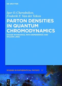 Parton Densities in Quantum Chromodynamics (eBook, PDF) - Cherednikov, Igor Olegovich; Veken, Frederik F. van der