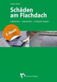 Schäden am Flachdach (eBook, PDF)