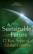 A Sustainable Future: 12 Key Areas of... - Bild 1