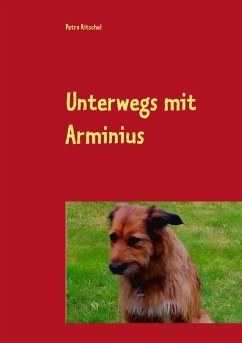 Unterwegs mit Arminius - Ritschel, Petra