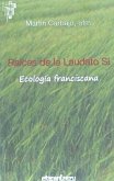 Raíces de la Laudato si : ecología franciscana