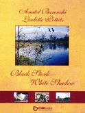 Black Stork - White Shadow (eBook, ePUB)