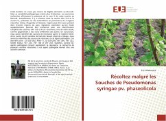 Récoltez malgré les Souches de Pseudomonas syringae pv. phaseolicola - Ndabaneze, Eric