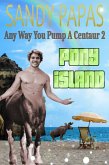 Any Way You Pump A Centaur 2: Pony Island (eBook, ePUB)