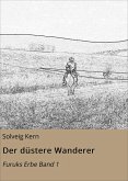 Der düstere Wanderer (eBook, ePUB)