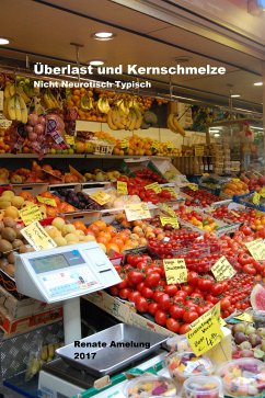 Überlast und Kernschmelze (eBook, ePUB) - Amelung, Renate