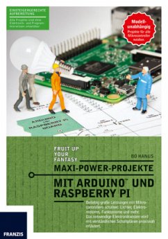 Maxi Power Projekte mit Arduino und Raspberry Pi - Hanus, Bo