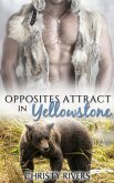 Opposites Attract in Yellowstone (Yellowstone Mates BBW Paranormal Romance, #2) (eBook, ePUB)
