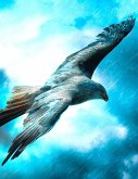 Fantasy Notizbuch: Adler im Sturm - weiße Seiten mit Eckmotiv