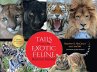 Tails from the Exotic Feline Rescue... - Bild 1