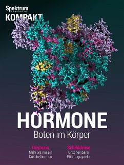 Spektrum Kompakt - Hormone (eBook, PDF)