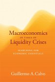 Macroeconomics in Times of Liquidity Crises (eBook, ePUB)