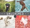 Unleashed (eBook, ePUB) - Bild 1