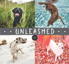 Unleashed (eBook, ePUB) - Jones, Amanda
