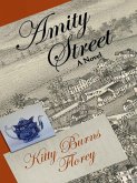 Amity Street (eBook, ePUB)