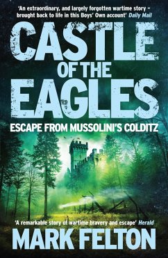 Castle of the Eagles (eBook, ePUB) - Felton, Mark