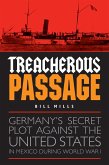 Treacherous Passage (eBook, ePUB)