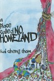 A Place Called No Homeland (eBook, ePUB)