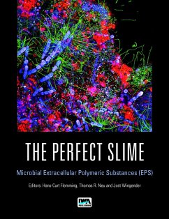 Perfect Slime (eBook, PDF)