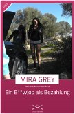 Ein B**wjob als Bezahlung (eBook, ePUB)