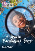 Collins Big Cat - A Year in Barrowswold Forest: Band 15/Emerald