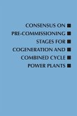 Consensus on Pre-Commissioning Stages for Cogeneration and Combined Cycle Power Plants