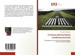 Cristaux photoniques unidimensionnels - El Boudouti, El Houssaine