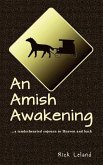 An Amish Awakening: a tenderhearted sojourn to Heaven and back