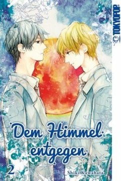 Dem Himmel entgegen Bd.2 - Kawabata, Shiki