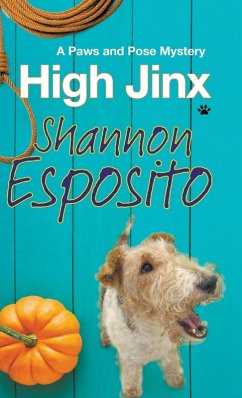 Cover High Jinx