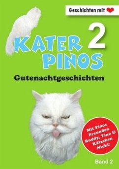 Kater Pinos Gutenachtgeschichten 2 - Gähler, Karin