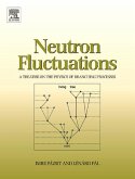 Neutron Fluctuations (eBook, ePUB)