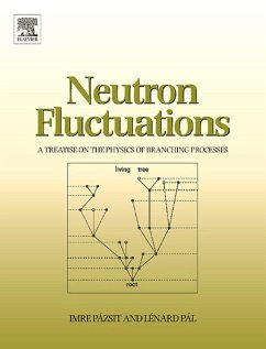Neutron Fluctuations (eBook, ePUB) - Pazsit, Imre; Pal, Lenard