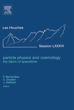 Particle Physics and Cosmology: the Fabric of Spacetime (eBook, ePUB)