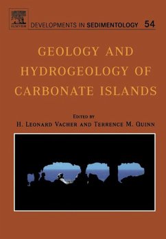 Cover Geology and hydrogeology of carbonate islands (eBook, ePUB)
