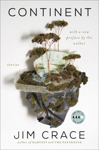 Continent (eBook, ePUB)