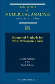 Numerical Methods for Non-Newtonian Fluids (eBook, ePUB)