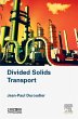 Divided Solids Transport (eBook, ePUB) - Bild 1
